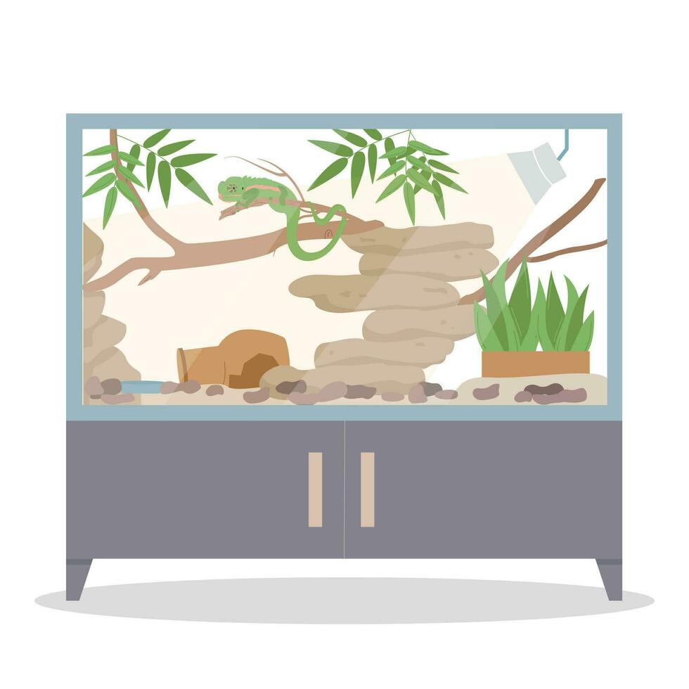 exotique animaux domestiques terrarium concept vecteur