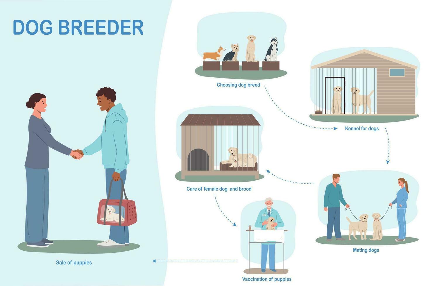 chien éleveur plat infographie vecteur