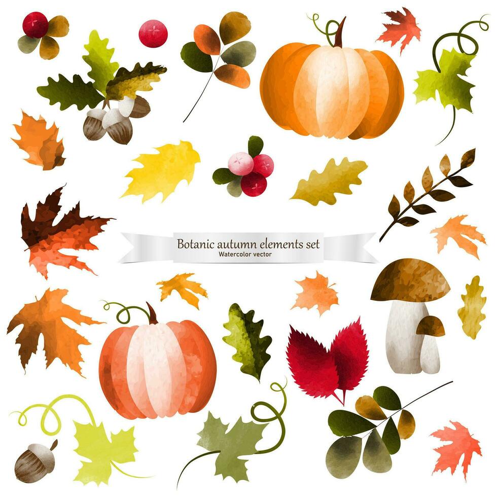 l'automne feuilles, citrouille, champignons, baies, glands fabriqué dans aquarelle technique. ensemble de l'automne éléments pour conception. vecteur
