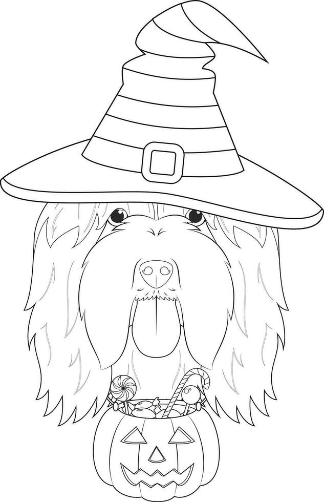 Halloween salutation carte pour coloration. barbu colley chien habillé comme une sorcière avec violet chapeau et une citrouille avec des sucreries dans le bouche vecteur