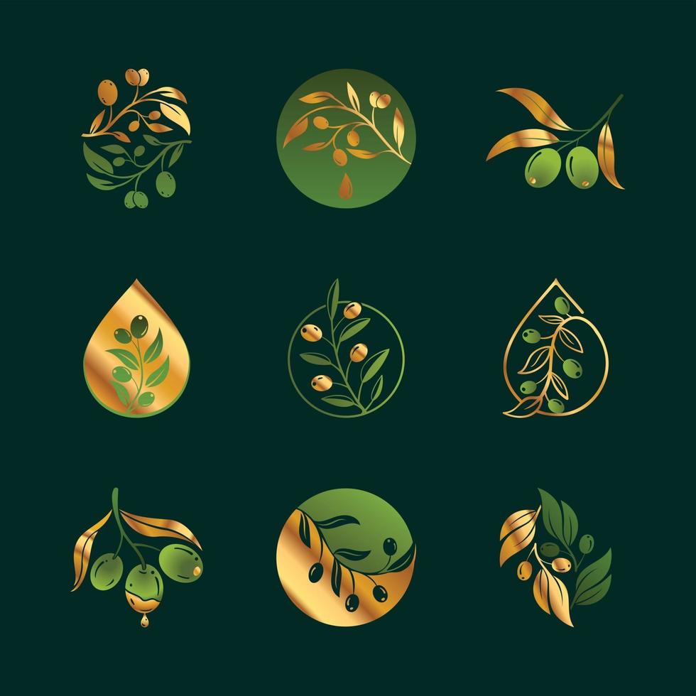 ensemble de logos de branche d'olivier or et vert vecteur