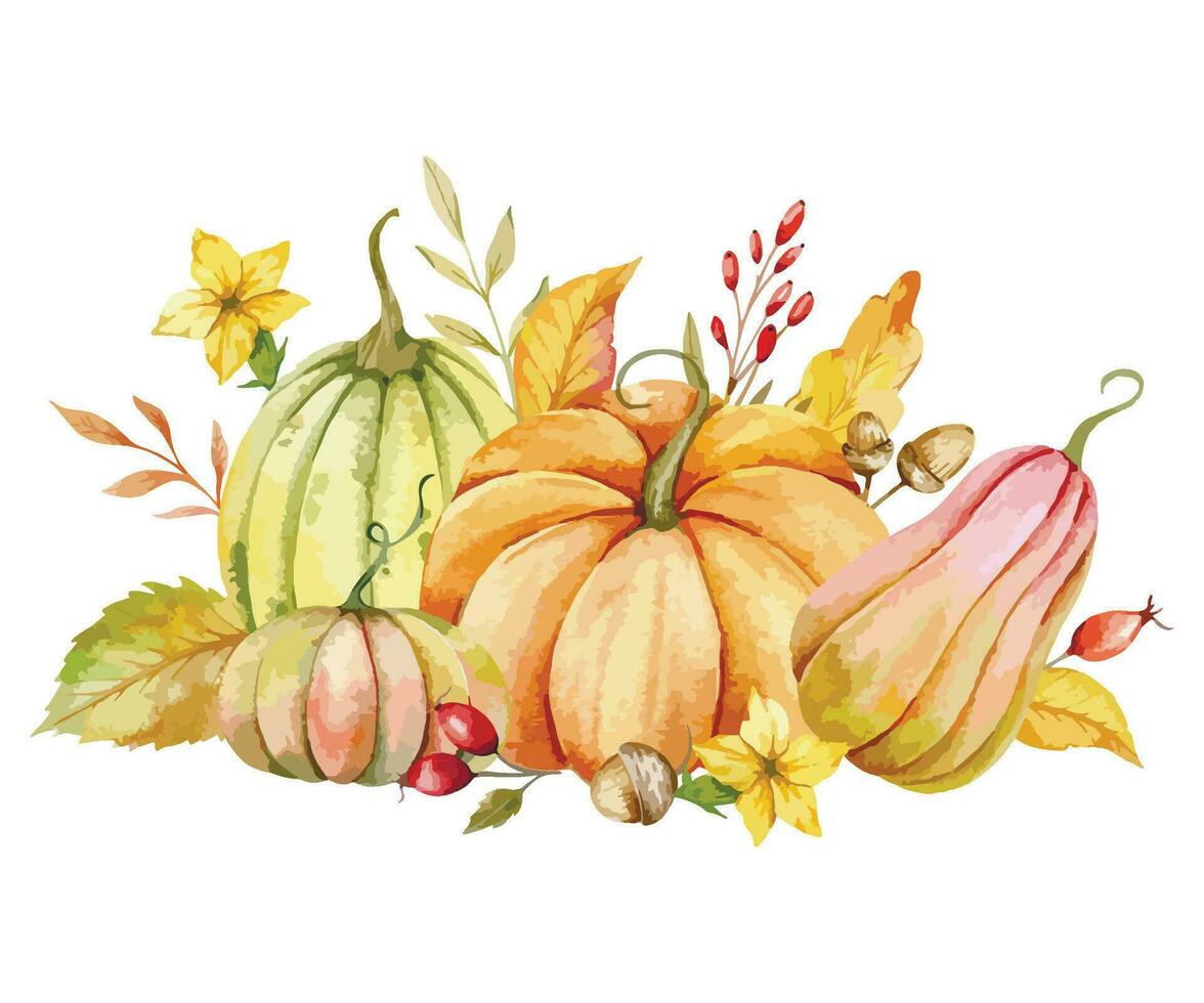 l'automne action de grâces aquarelle citrouilles avec feuilles et récolte sur blanc Contexte. tomber floral arrangement avec citrouilles, baies et feuilles vecteur