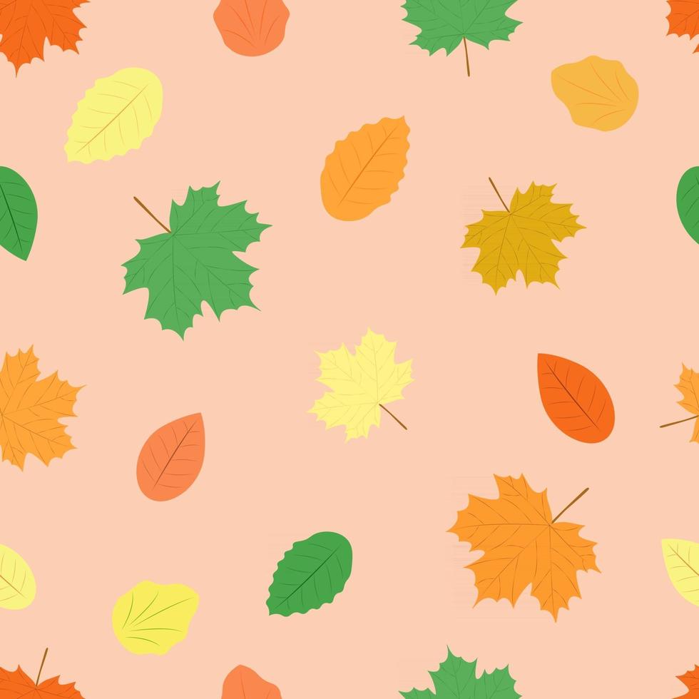 modèle d'automne. arrière-plan transparent de feuille colorée. feuilles d'érable jaunes, rouges et vertes. illustration vectorielle vecteur