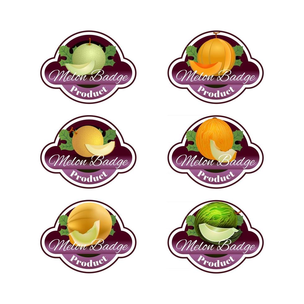 divers melon dans le style de badges vecteur