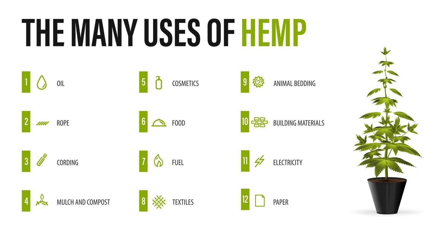 les nombreuses utilisations du chanvre, affiche blanche avec infographie des utilisations du cannabis et greenbush de la plante de cannabis vecteur