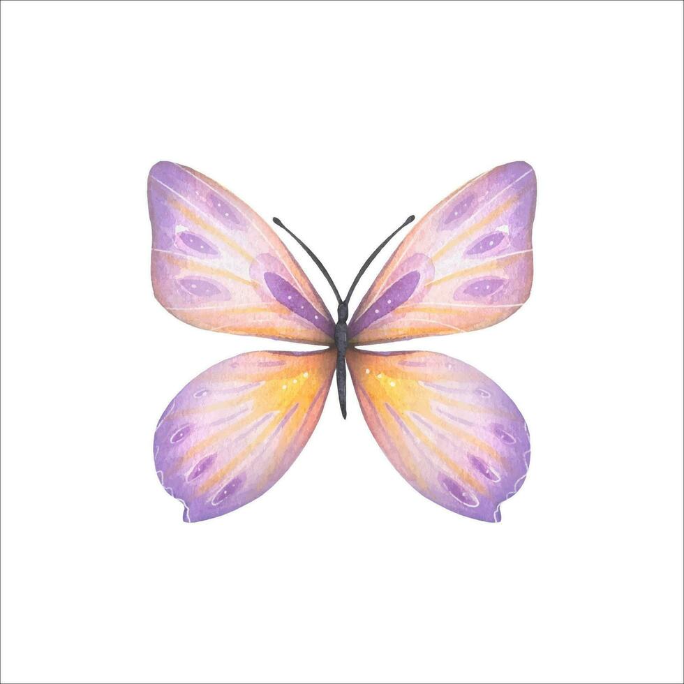 main tiré abstrait papillon dans violet, Jaune tons vecteur