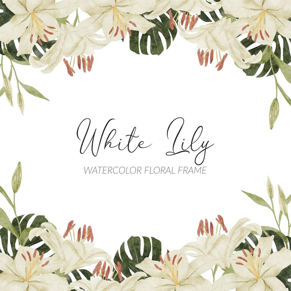 arrangement de fleurs tropicales de lys blanc aquarelle avec monstera vecteur
