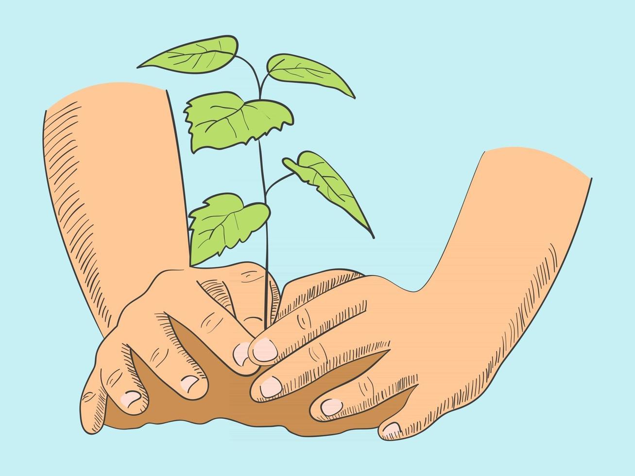 illustration des mains plantant un jeune arbre vecteur