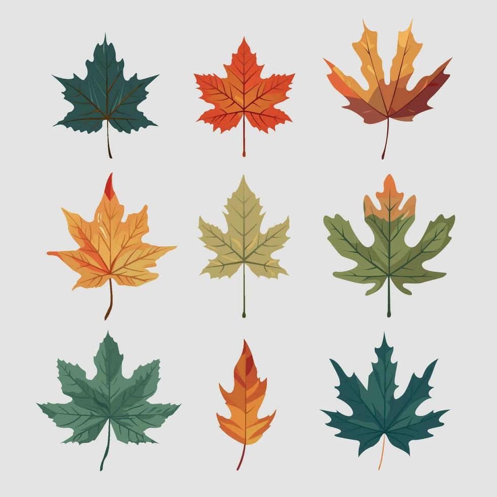 feuilles ensemble avec différent Couleur et différent forme vecteur illustration