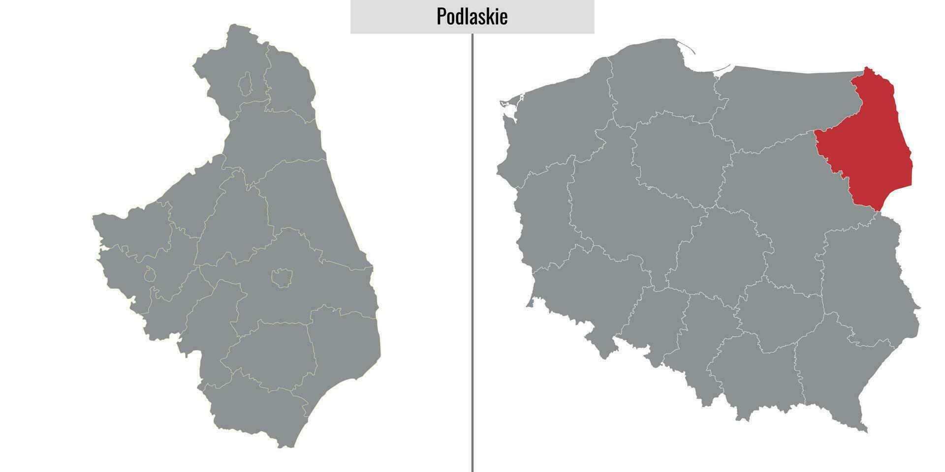 carte Province de Pologne vecteur