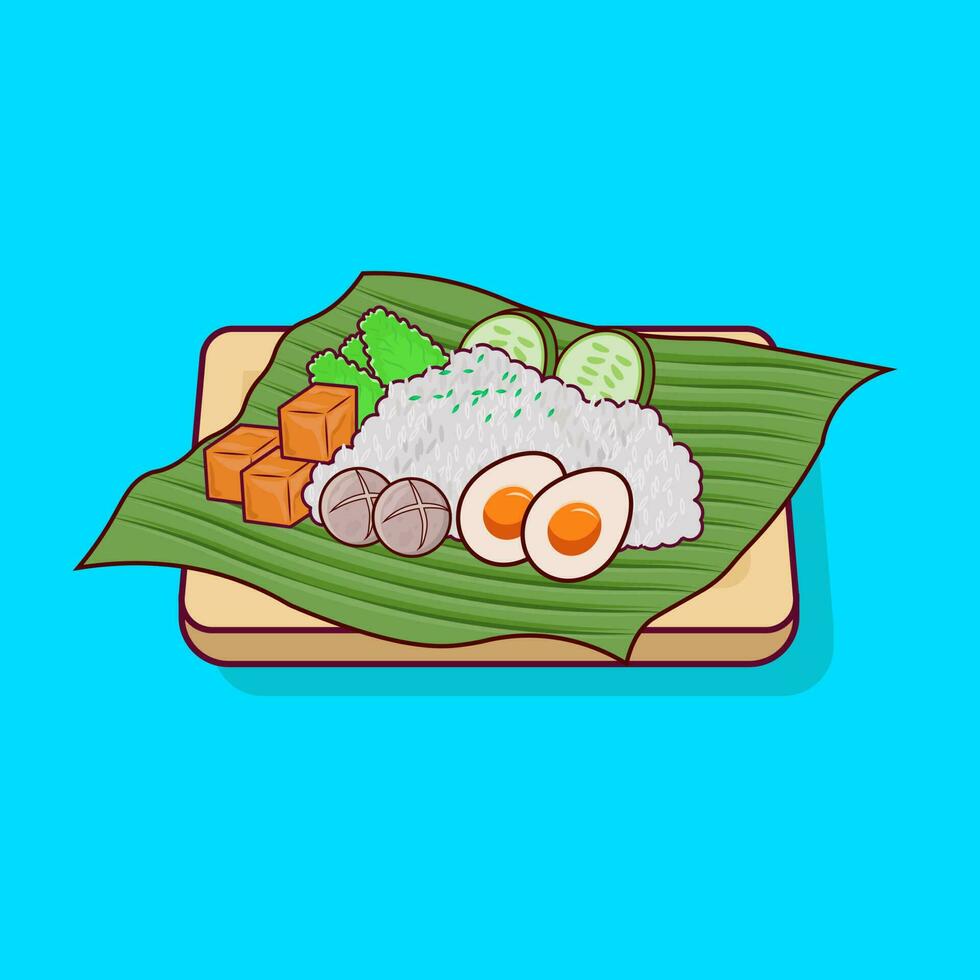 détaillé nasi Lemak ou blanc riz avec Tofu et tempérer illustration pour nourriture icône, illustration de asiatique nourriture icône vecteur