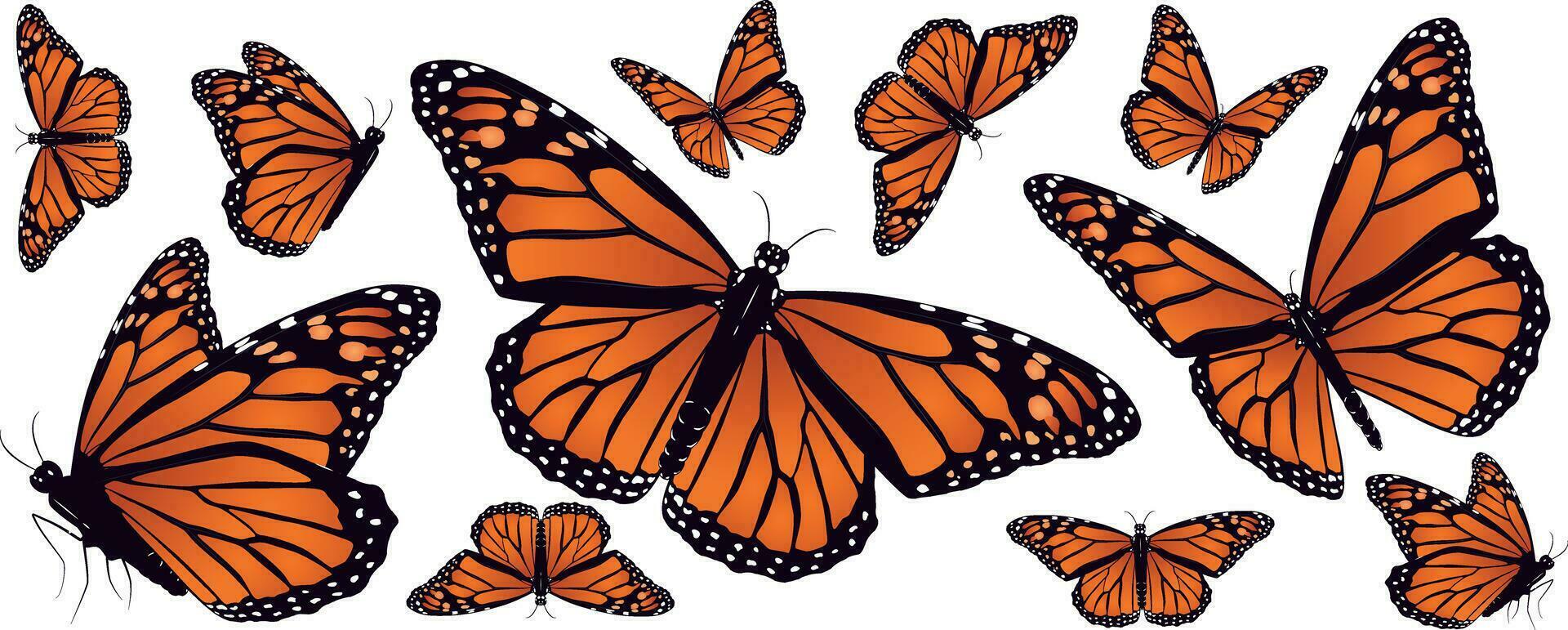 ensemble de magnifique Orange monarque papillon dans différent pose isolé sur blanc Contexte vecteur