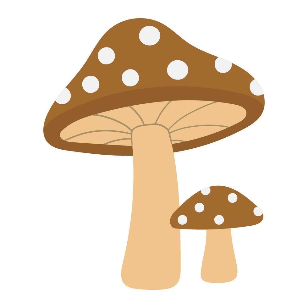 illustration vectorielle de champignon vecteur