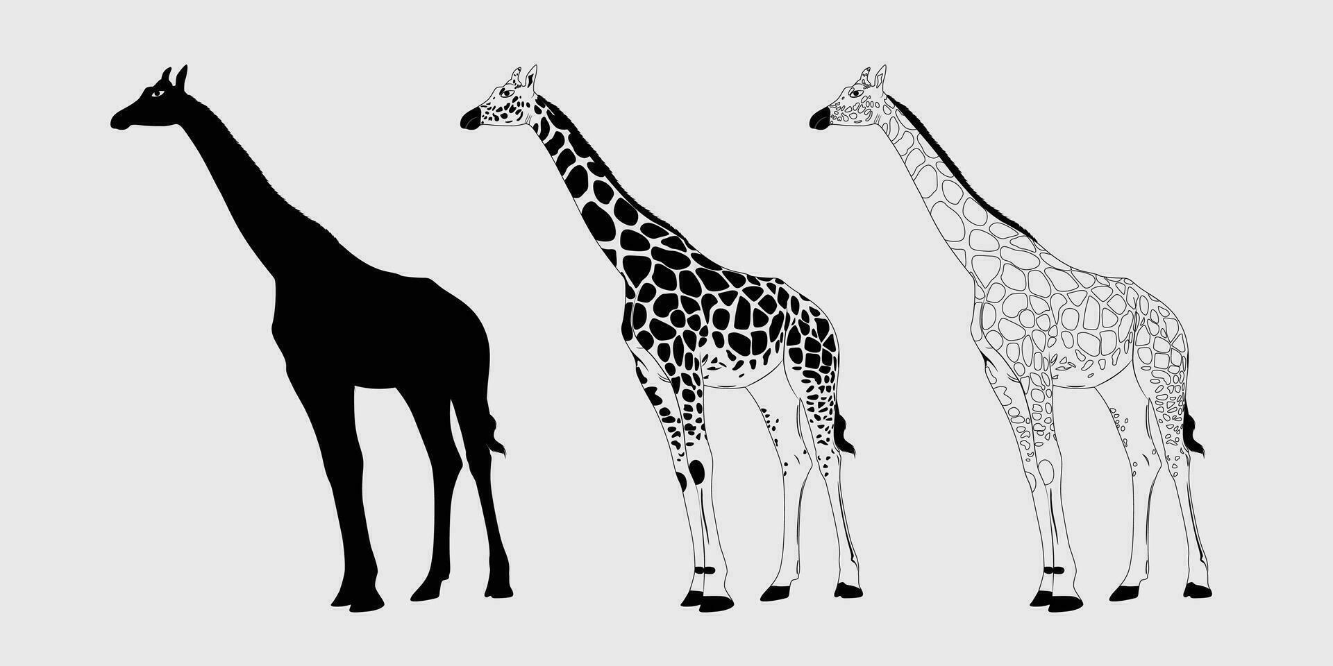 girafe noir silhouette, girafe vecteur contour conception, girafe vecteur noir et blanc