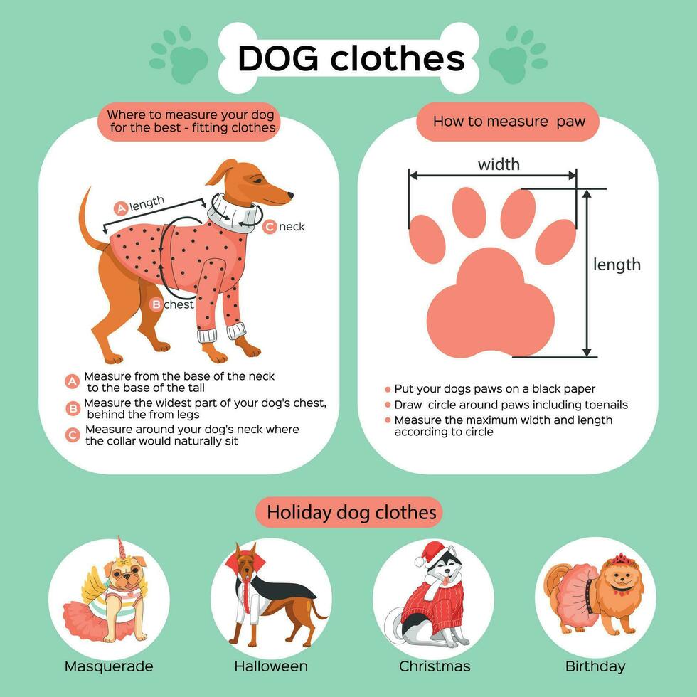 chien vêtements plat infographie vecteur