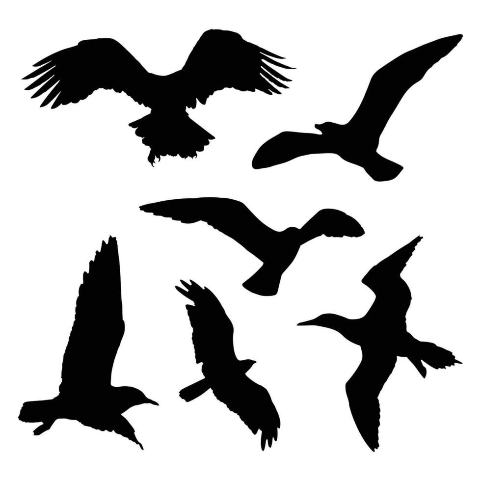 en volant des oiseaux silhouette, groupe de en volant des oiseaux silhouette vecteur