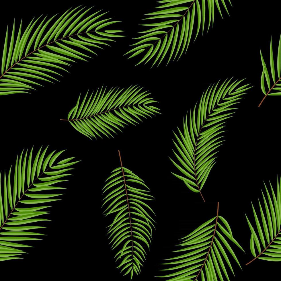 beau palmier feuille silhouette transparente motif de fond vecteur