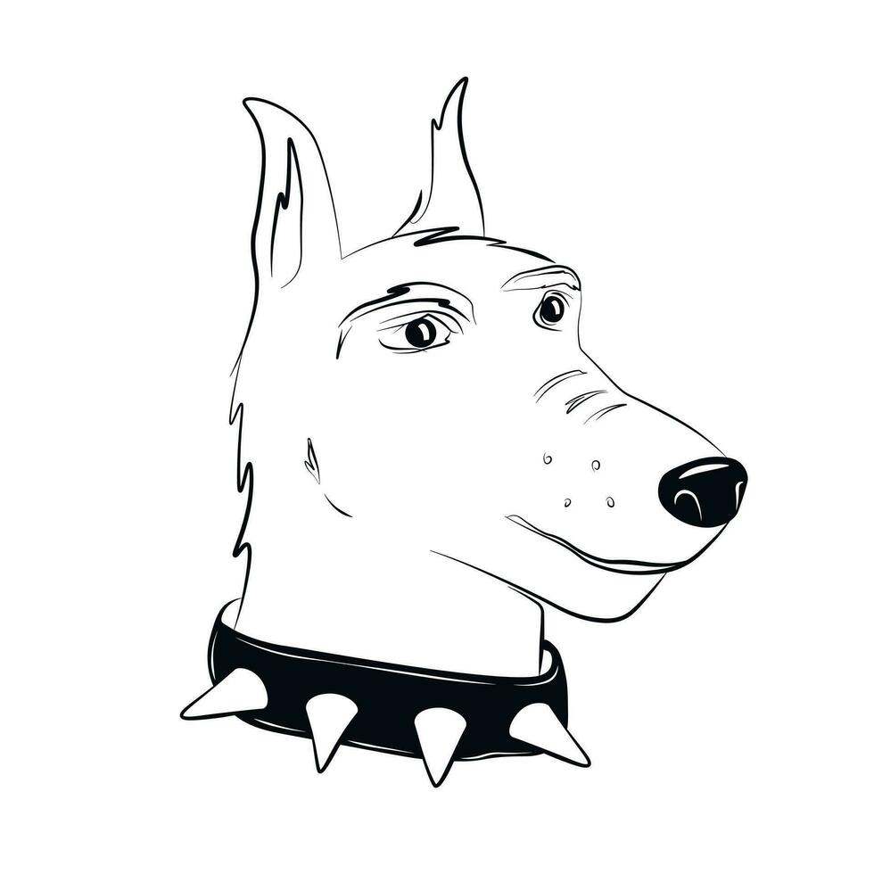 dobermann. une levrette chien. museau dans une collier. portrait. vecteur Stock illustration. isolé sur une blanc Contexte.