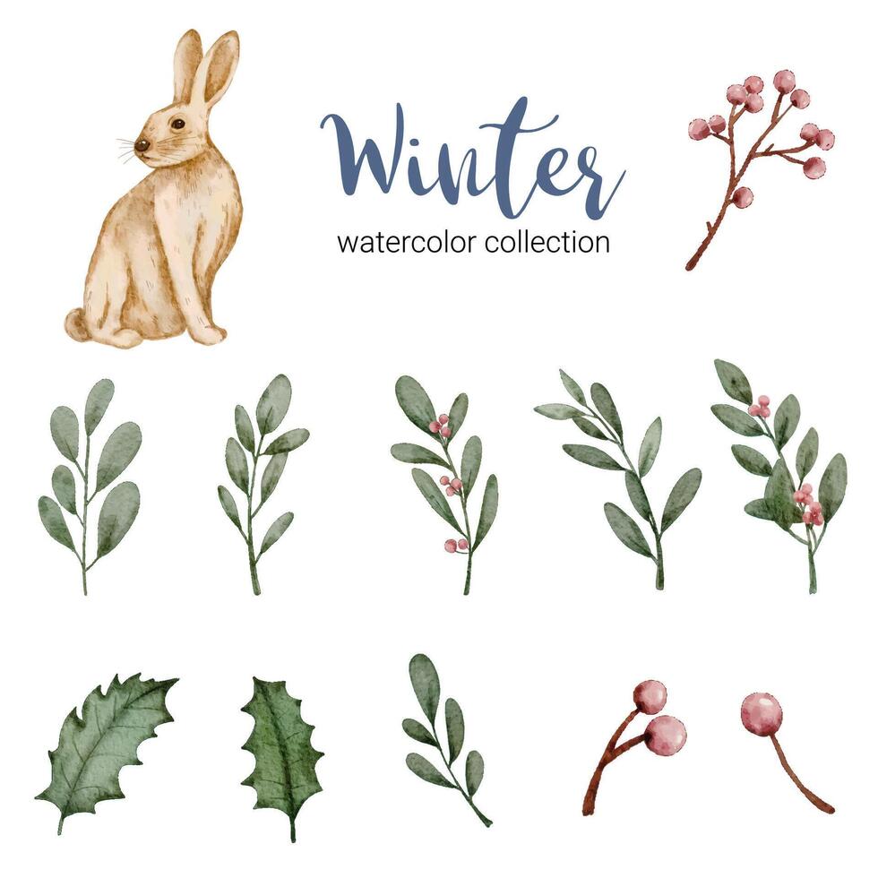 collection d'aquarelles d'hiver avec feuilles, baies et lapin, aquarelle d'hiver vecteur