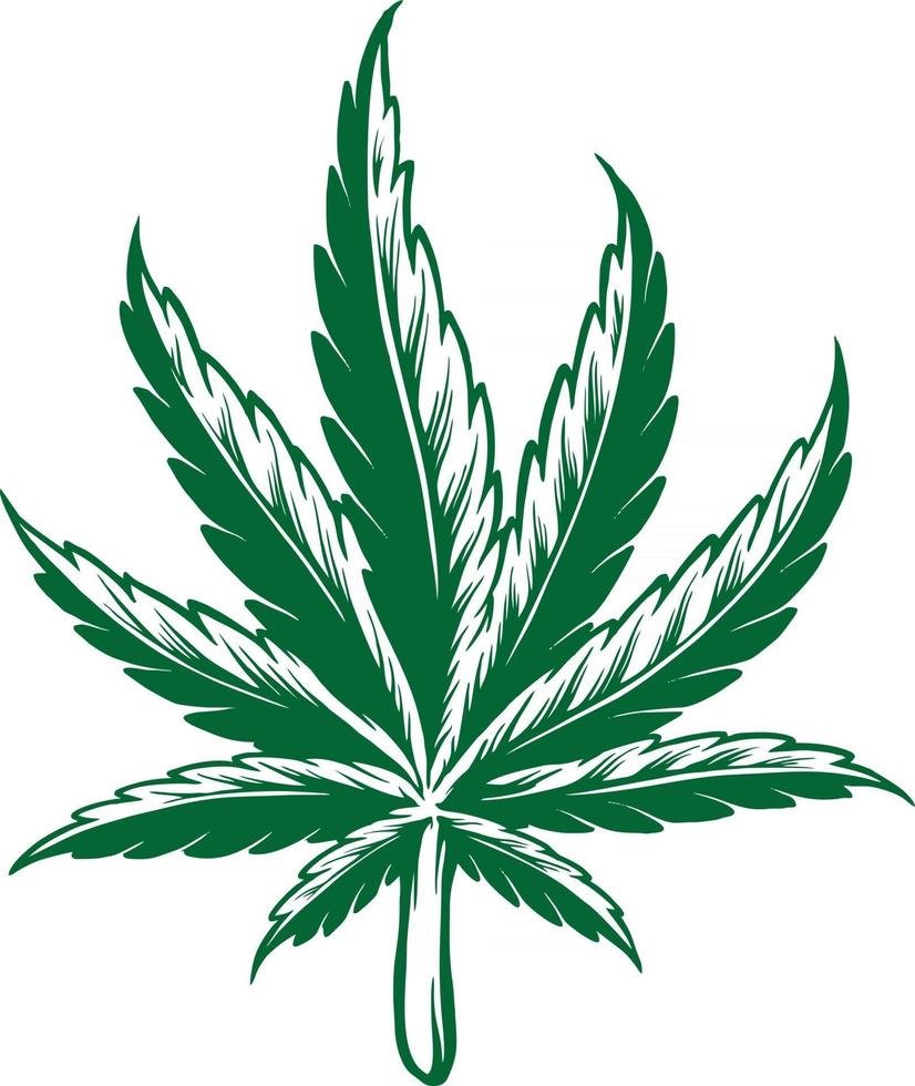 conception de cannabis simple feuille de kush vecteur