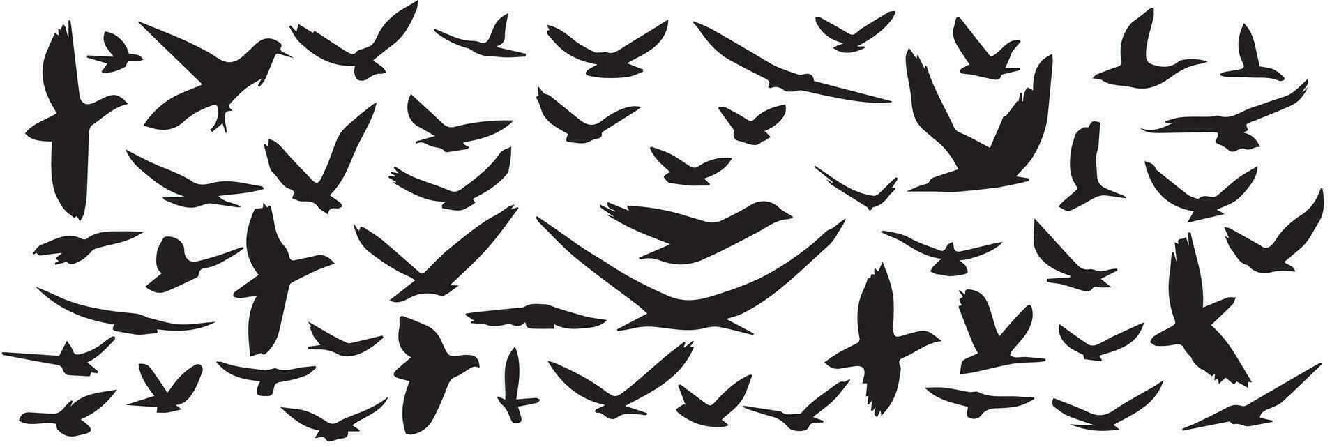 grand collection de main tiré en volant des oiseaux silhouette. ensemble de silhouette de en volant des oiseaux. vecteur illustraiton.