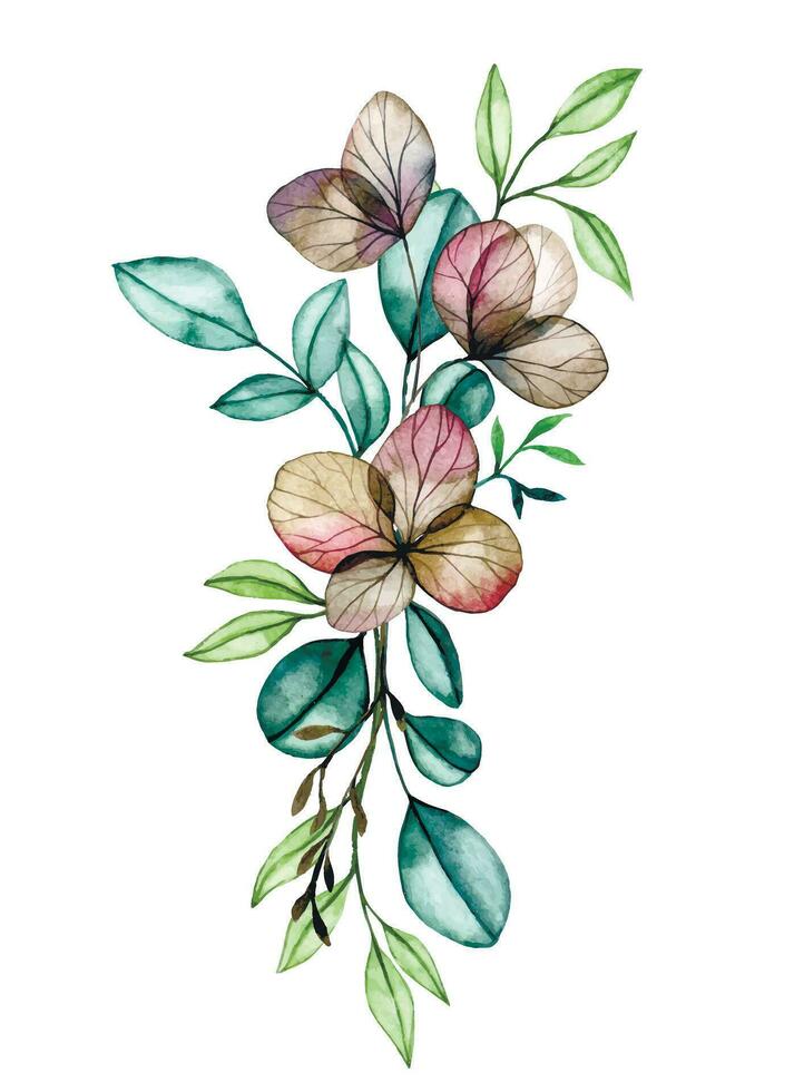 aquarelle dessin, bouquet, composition de transparent eucalyptus feuilles et séché hortensia fleurs. vecteur