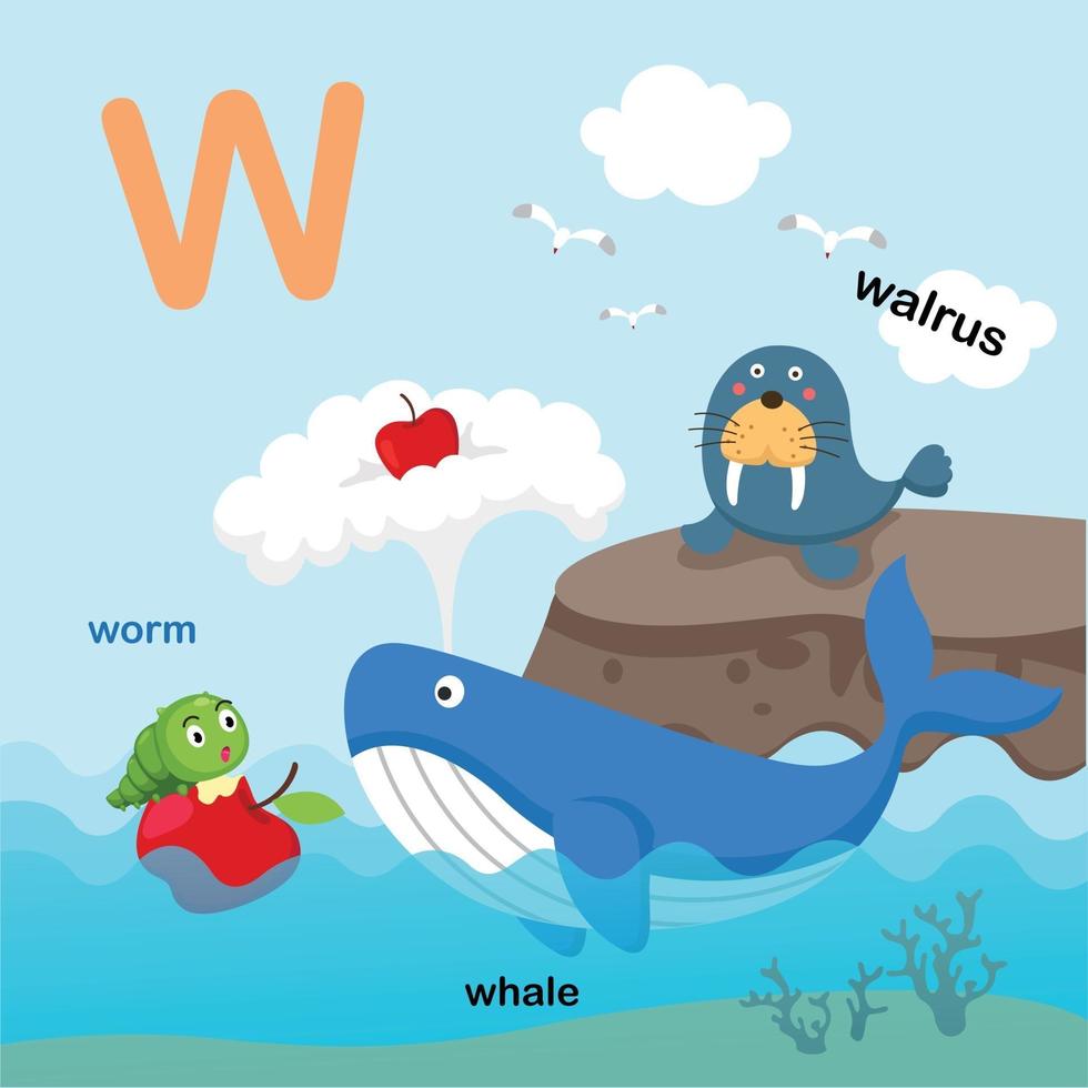 illustration isolé alphabet lettre w-morse,baleine,worm.vector vecteur