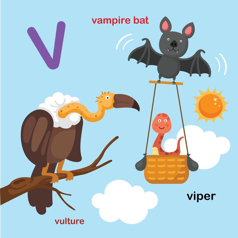 illustration isolé alphabet lettre v-vampire chauve-souris, vipère, vautour.vector vecteur