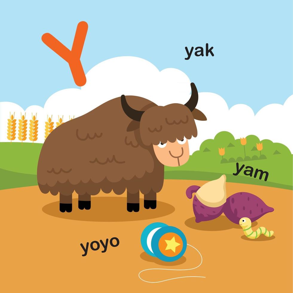 illustration isolé lettre de l'alphabet y-yak,yoyo,yam.vector vecteur