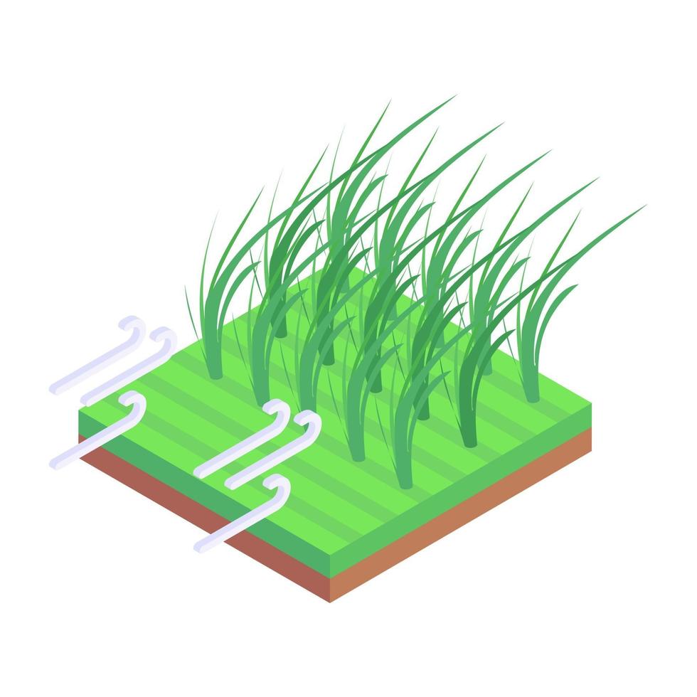 plantation de riz et champs vecteur