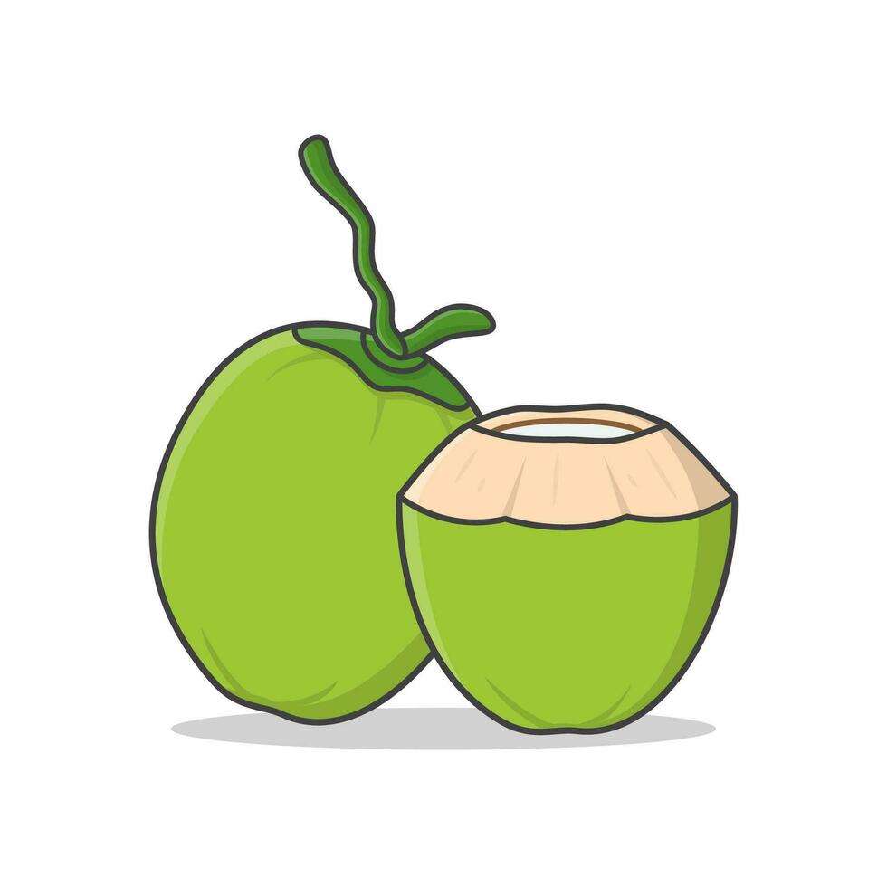 entier vert noix de coco et Frais en buvant noix de coco vecteur icône illustration. vert noix de coco plat icône