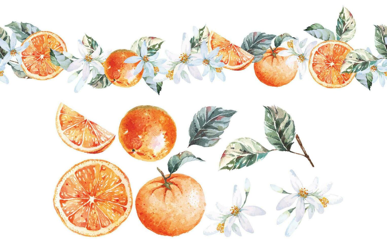 sans couture modèle Orange frontière avec aquarelle.botanique agrumes jante, pour cartes.fruit frontière. vecteur