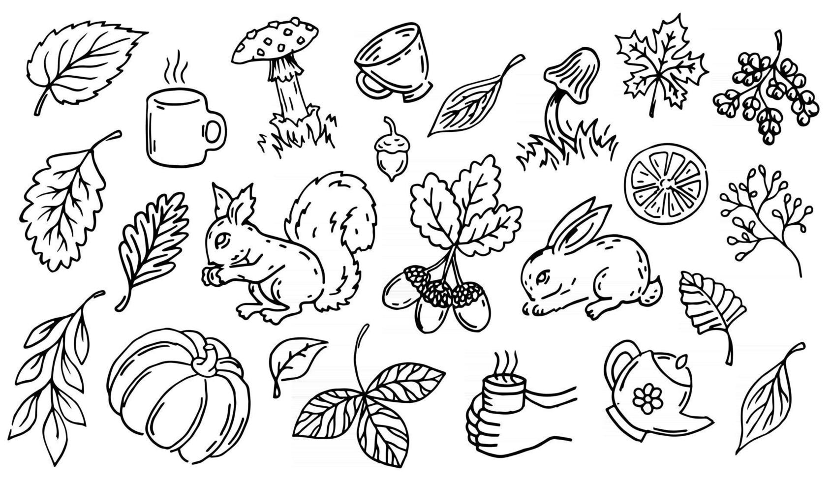 ensemble d'illustrations d'automne art ligne vectorielle. collection de décorations d'automne contour, silhouette noire. glands, feuilles, champignons, tasses isolés sur fond blanc. vecteur
