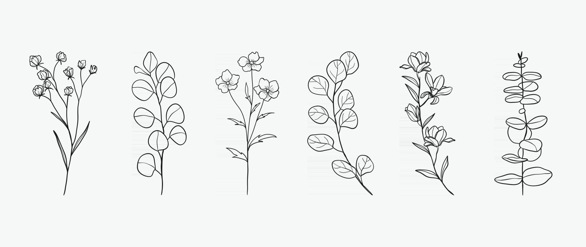 conception de dessin à la main botanique minimale pour le logo et l'invitation de mariage. dessin au trait floral. collection de conception de fleurs et de feuilles pour la décoration de bouquets, fond de carte et d'emballage. vecteur