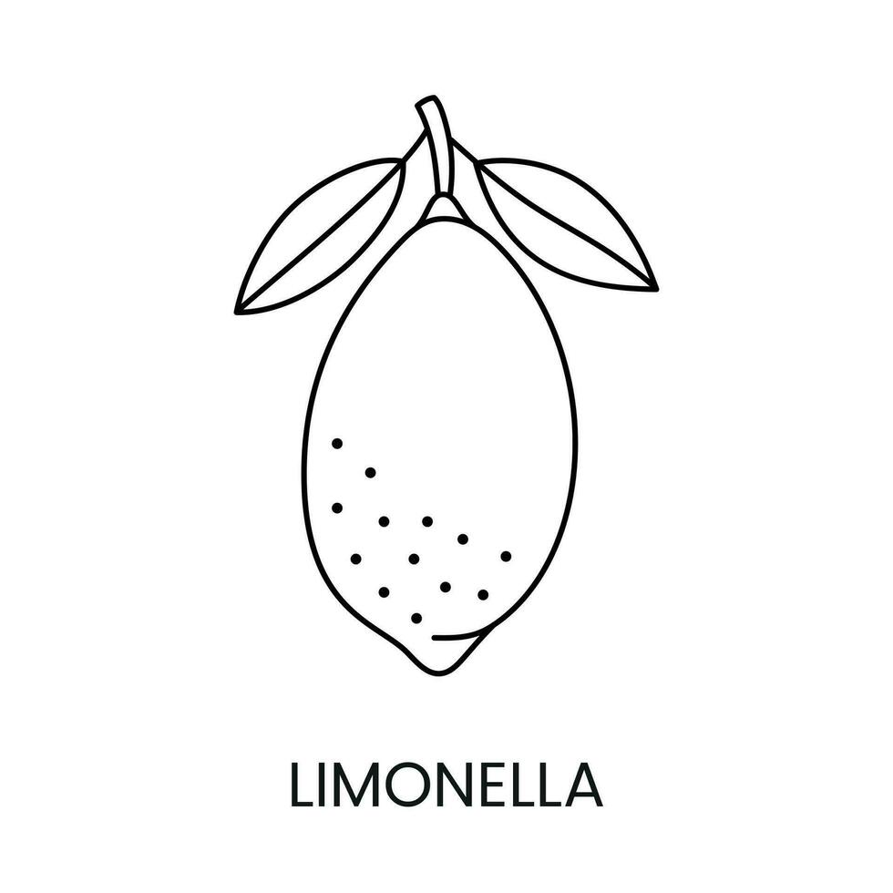 agrumes fruit limonelle ou limequat, ligne icône dans vecteur à indiquer sur nourriture emballage à propos le présence de cette allergène