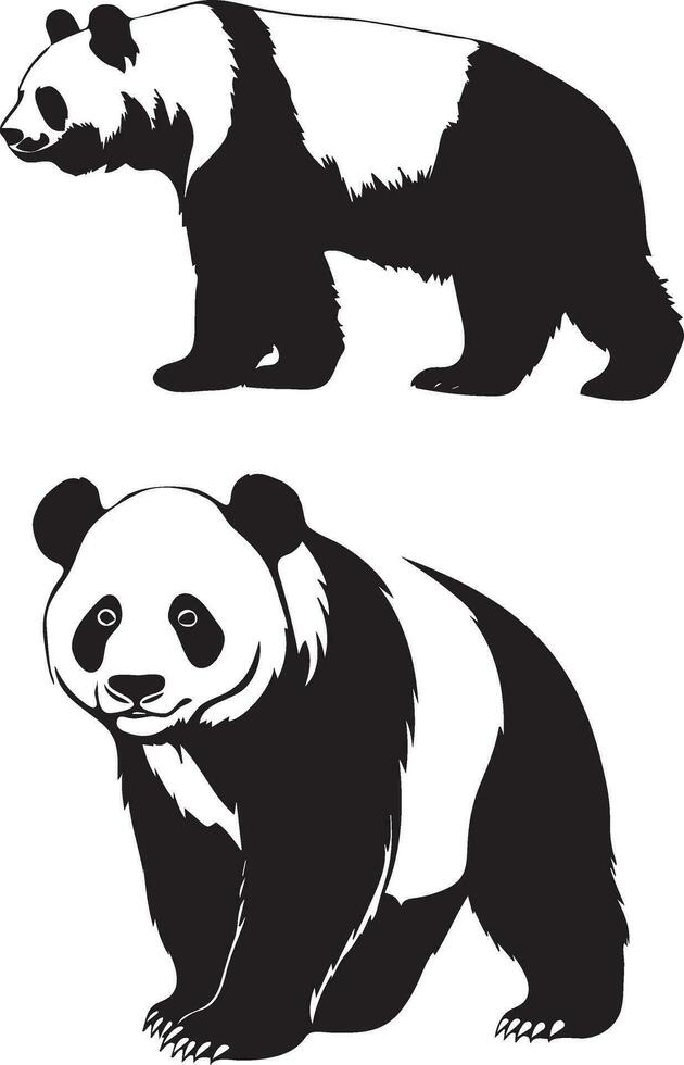 Panda ours vecteur sauvage animal