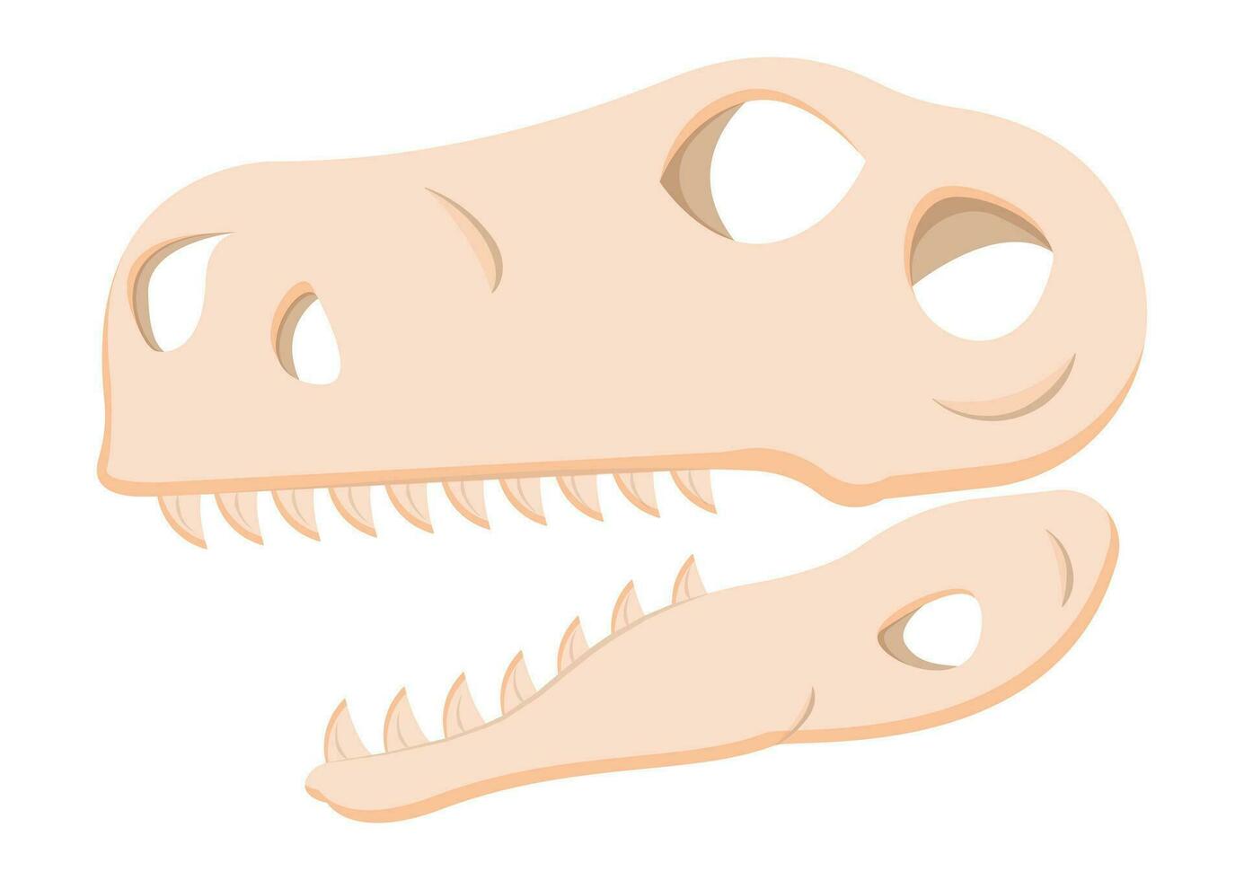 dinosaure tête crâne fossile clipart vecteur isolé sur blanc Contexte