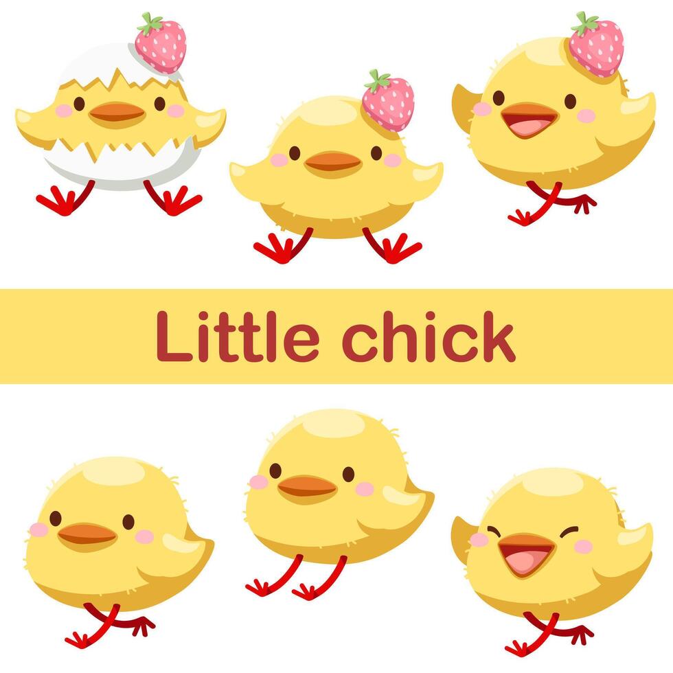 paquet petit joli poussin fond affiche emoji vecteur