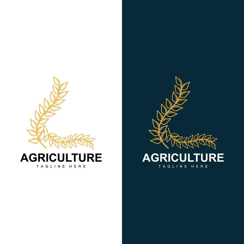 riz logo, ferme blé logo conception, vecteur symbole icône graphique illustration