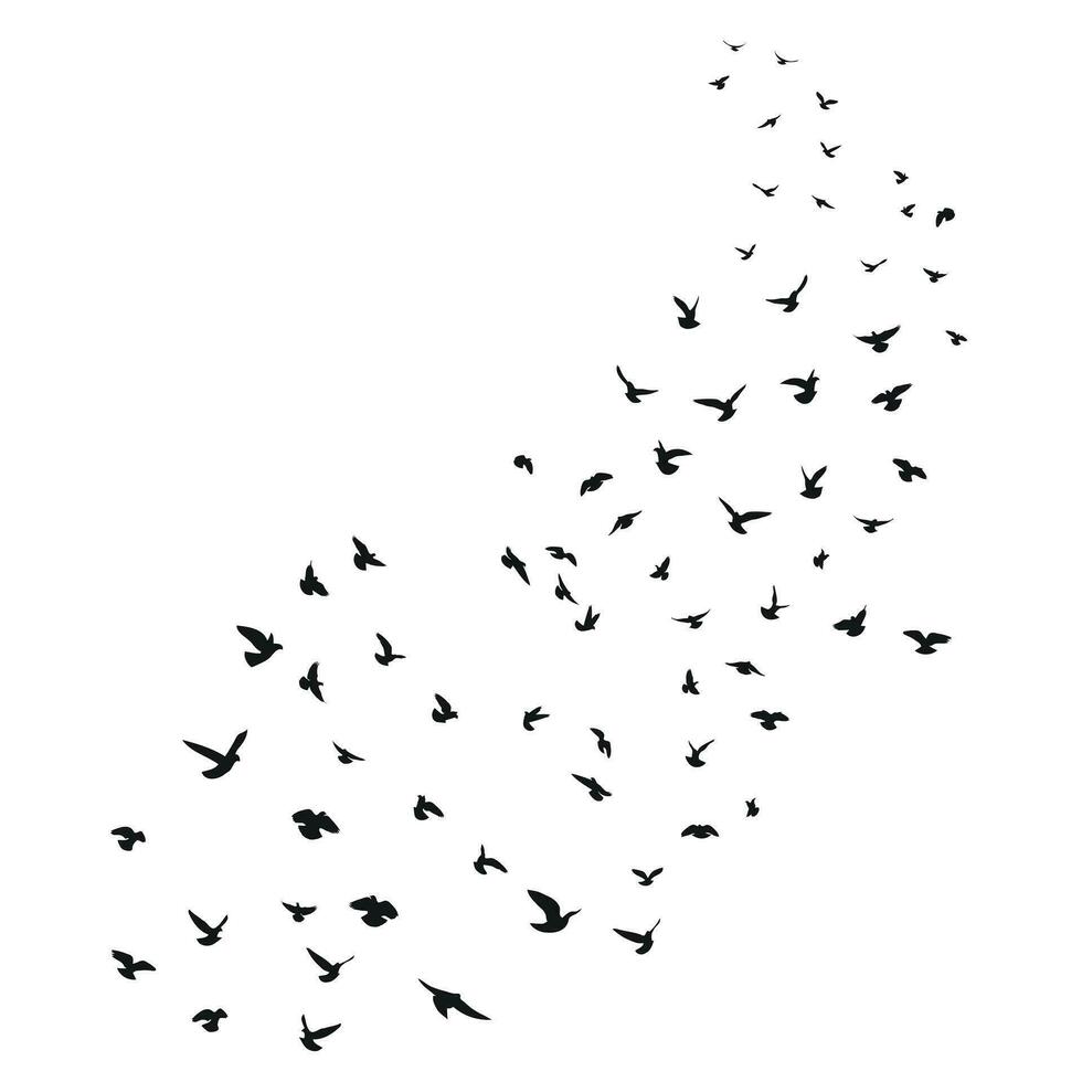 esquisser dessin de une silhouette de une troupeau de des oiseaux en volant avant. décoller, en volant, vol, battement, flotter, planant, atterrissage vecteur