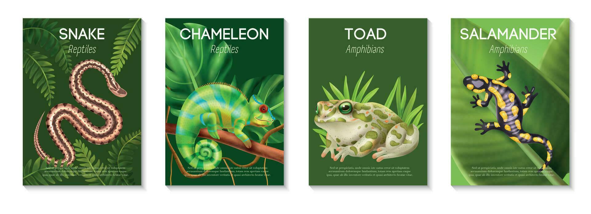 réaliste reptiles amphibiens affiche icône ensemble vecteur