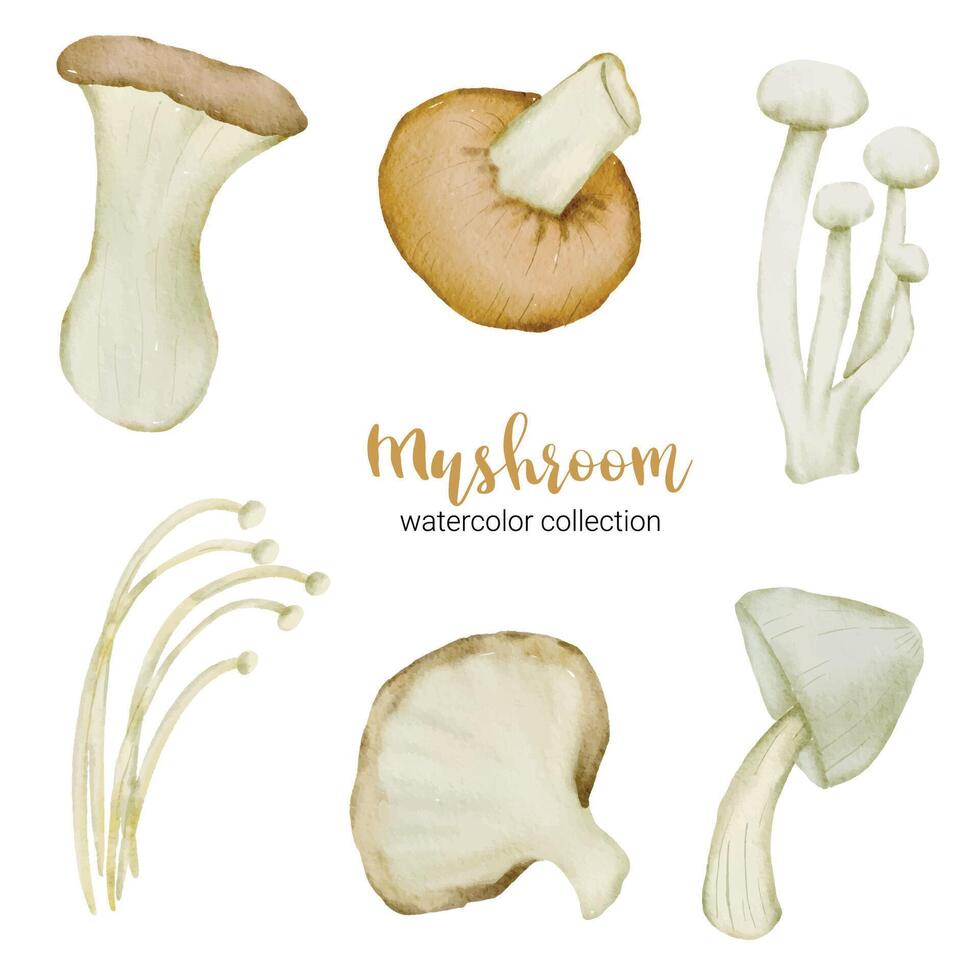 champignon dans la collection aquarelle vecteur plat sur fond blanc