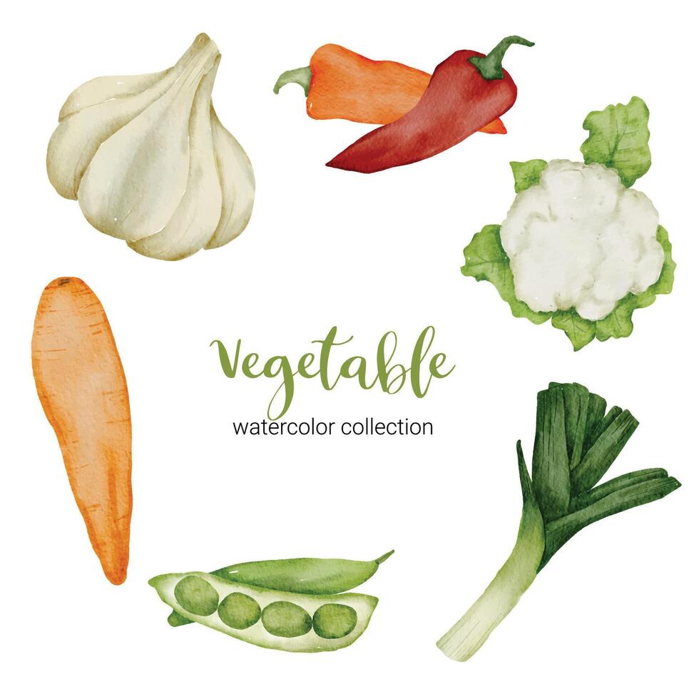 mélanger les légumes dans le vecteur plat de la collection aquarelle sur fond blanc