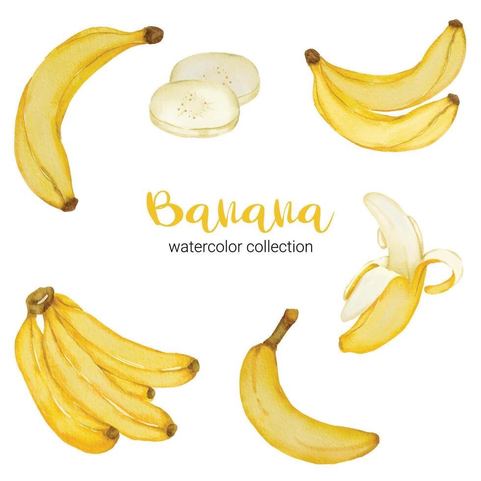 Banane dans la collection aquarelle de fruits vecteur plat sur fond blanc