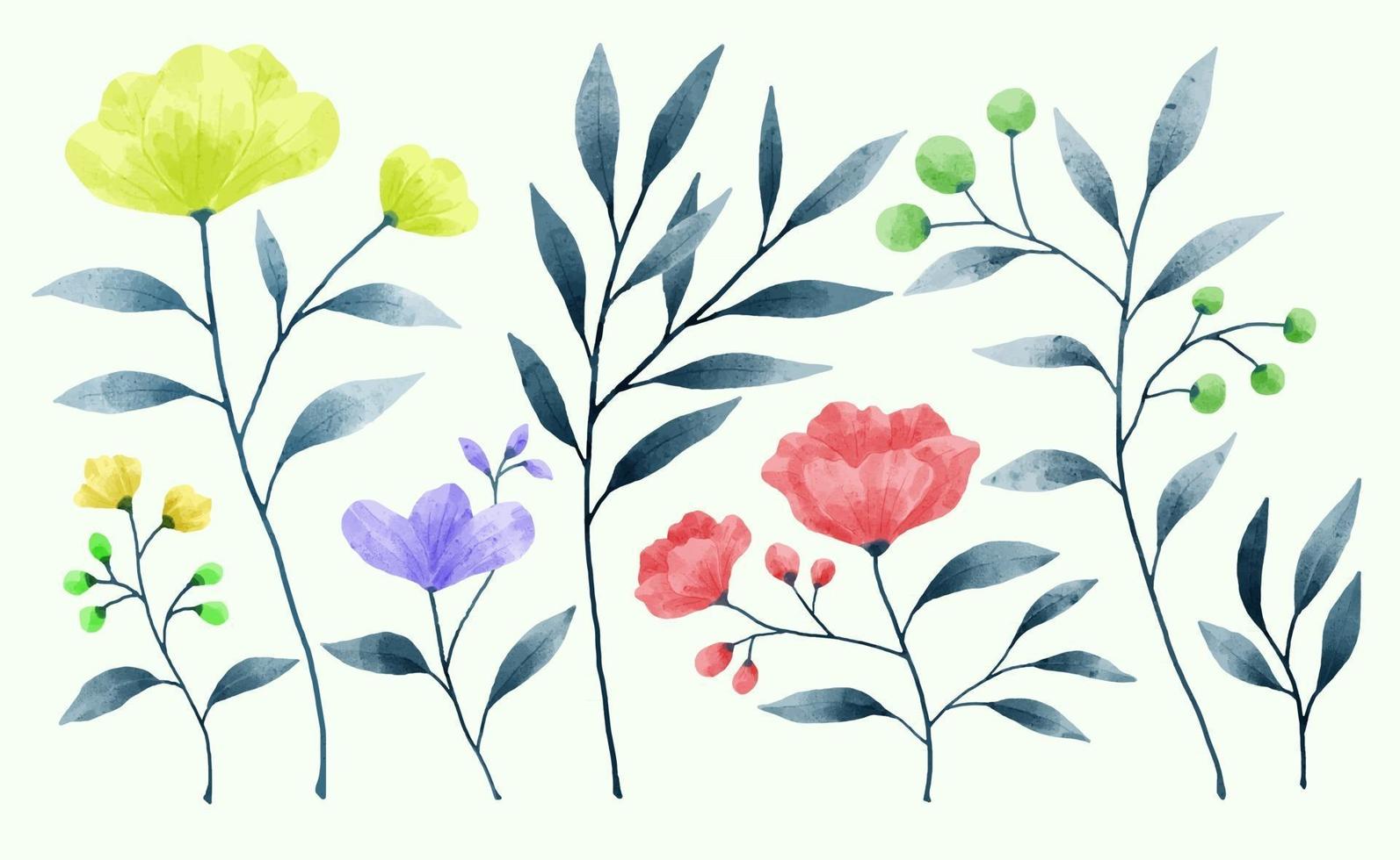 un ensemble de fleurs peintes à l'aquarelle pour diverses cartes et cartes de vœux. vecteur