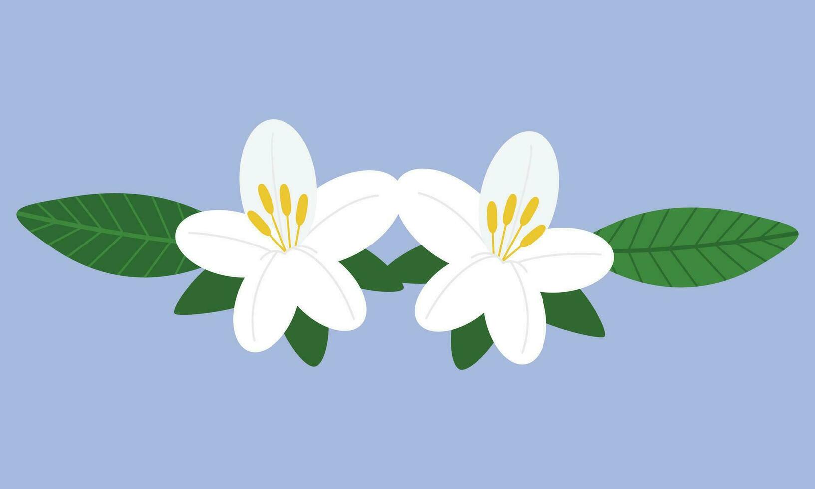 vecteur blanc fleurs sur vert feuilles
