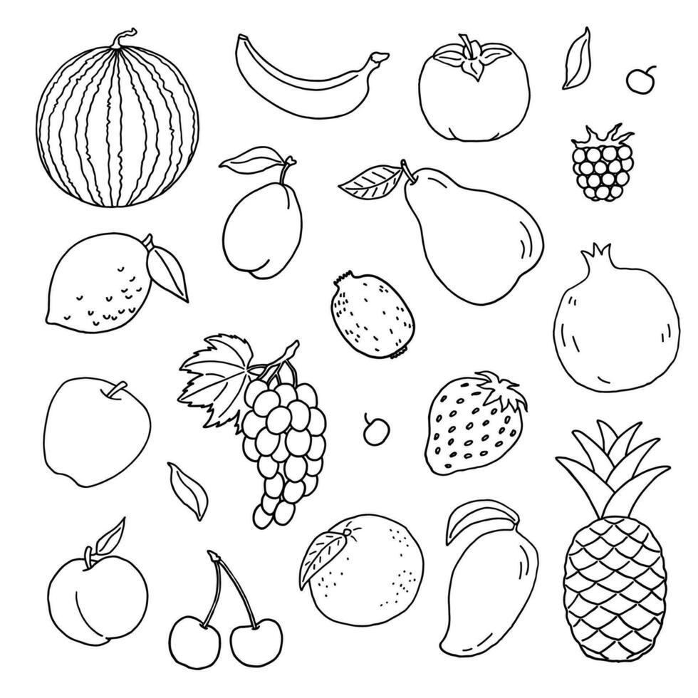 des fruits griffonnage collection. ensemble de frais, en bonne santé, tropical aliments. main tiré illustration. vecteur