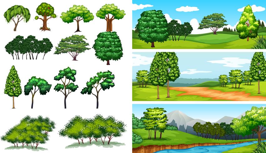 Scènes de la nature avec des arbres et des champs vecteur