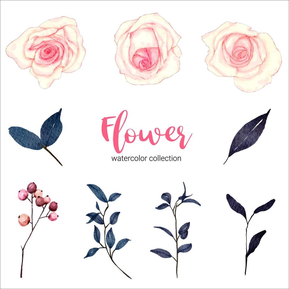 collection d'illustration aquarelle belle fleur vecteur