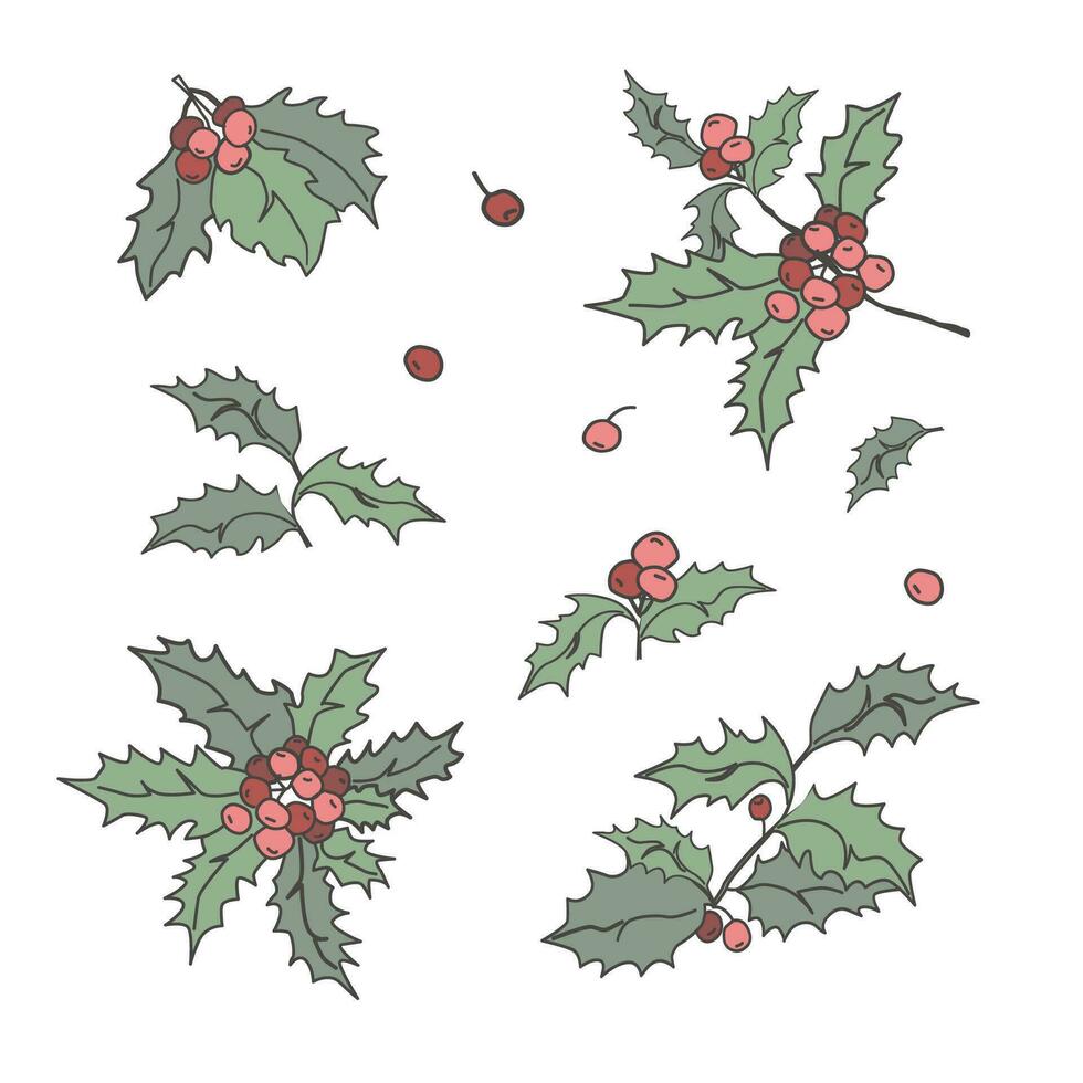 Noël Noël vacances concept. content Nouveau année symbole. isolé branche avec baies. hiver vecteur illustration. ancien main tiré chêne vert ensemble.